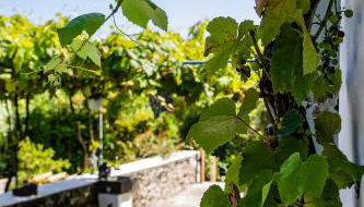 O Refúgio - Photo 5