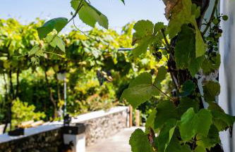 O Refúgio - Photo 5