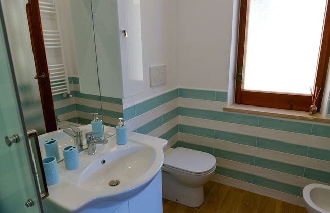 Sofia flora - Photo 59