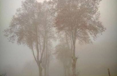 Apartament Bellserrat - Foto 53