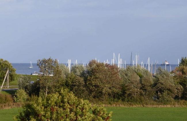 "At Low 8" Merchant - Foto 10