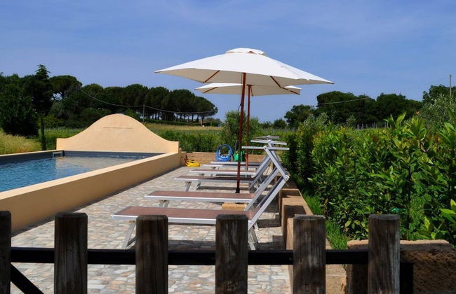 Podere L'Olmaia - Foto 38