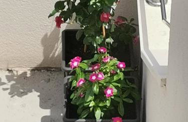 Apartment Lijana sea view - Photo 2