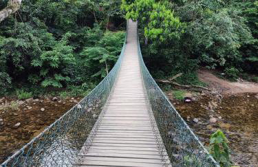 Casa das Orquídeas - Foto 6