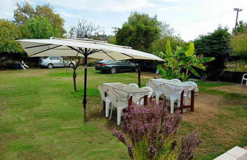 Toula's Apartments - Foto 40