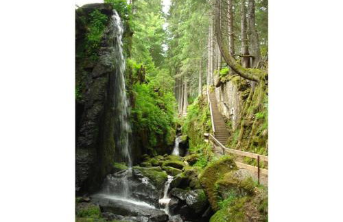 Holiday Apartment Schupp - Foto 73