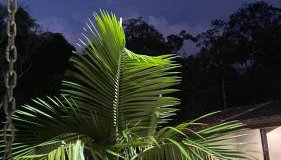 Chácara Recanto da Paz - Foto 5