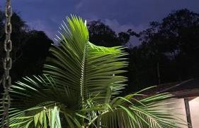 Chácara Recanto da Paz - Photo 5