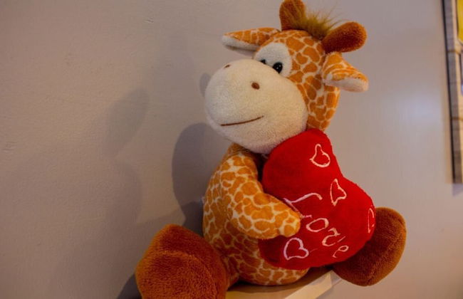 Octagon Premium Ipoh Homestay - Foto 9