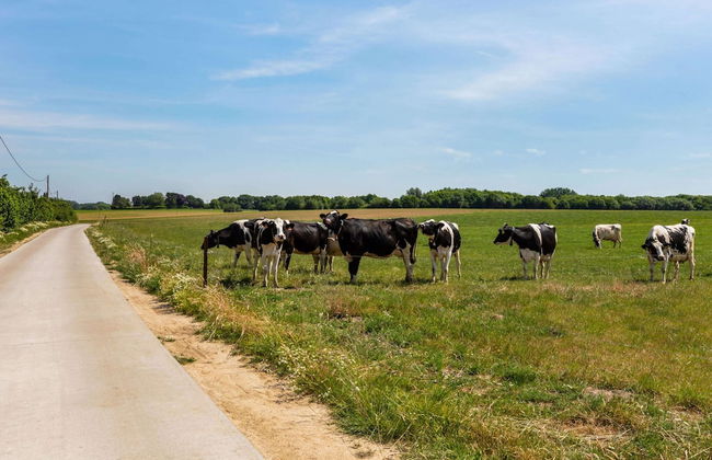 Villa in Kobbegem With Private Garden - Foto 36