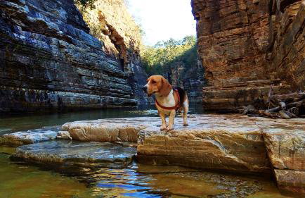 Recanto Vita et Pax - Hospedagem e Passeio Náutico - Foto 104