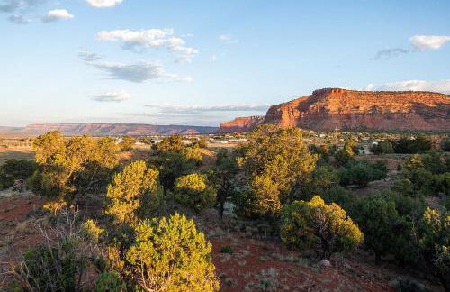 Tiny Cabin #3 at The Cedars - Foto 54