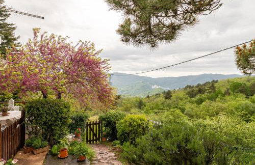 Sassi Scritti - Acero Montano - Photo 24