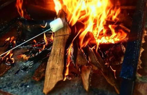 El Rincón de Gredos - Photo 32