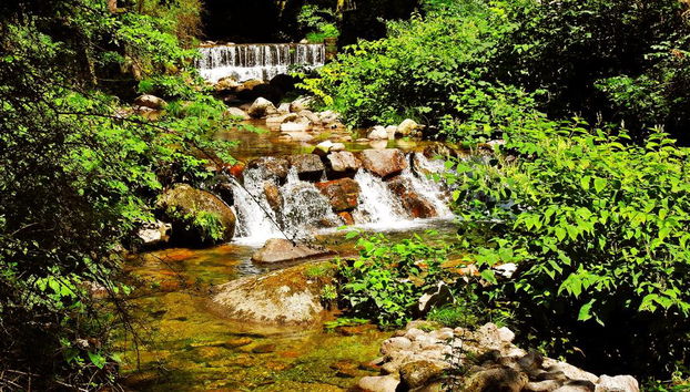 Agrinho Suites & SPA Gerês - Foto 5