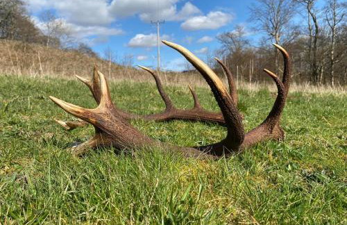 Red Watch Apartment - Foto 19