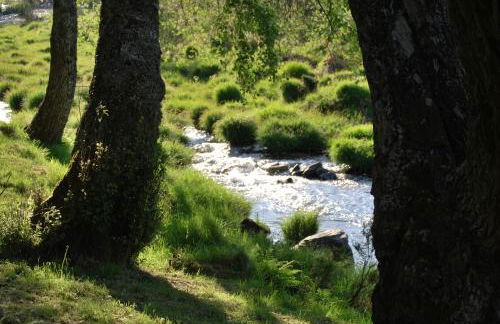 Alojamentos Turísticos São Torcato Moradal Turismo Espaço Rural - Photo 6