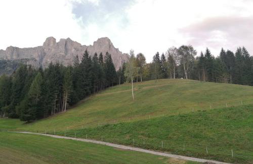 Baita Pra Petina Pale di San Martino - Photo 42