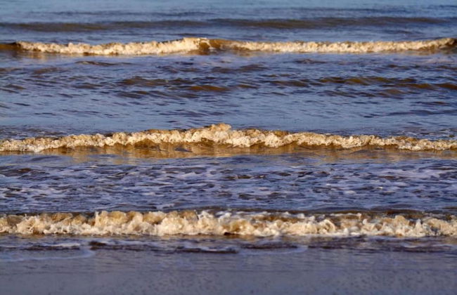 Apartment in Dar?owo With Garden - Photo 15