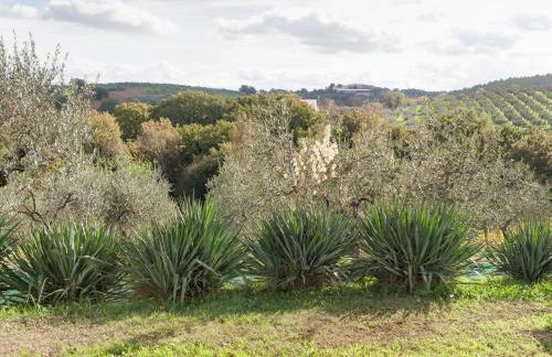 Farmhouse in Giano dell'Umbria - Foto 26