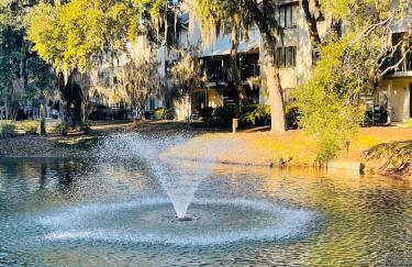 13 Beach Stop Hilton Head - Foto 61