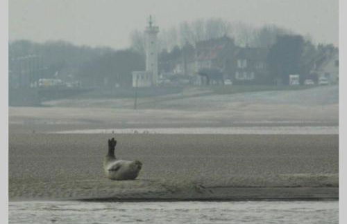 Maison favieres baie de Somme - Foto 7