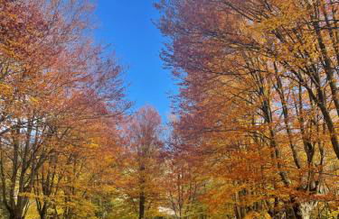 Casa Maristany - Photo 38