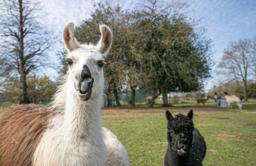 Fairytale Staycation - Near London by Damask Homes - Foto 40