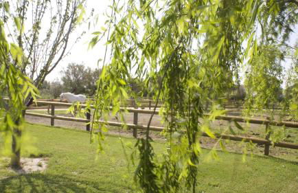 Gîtes Equestres Lou Caloun - Les Saintes Maries de la Mer - Foto 76