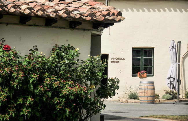 Visita ao vinhedo da Finca La Emperatriz - Foto 5