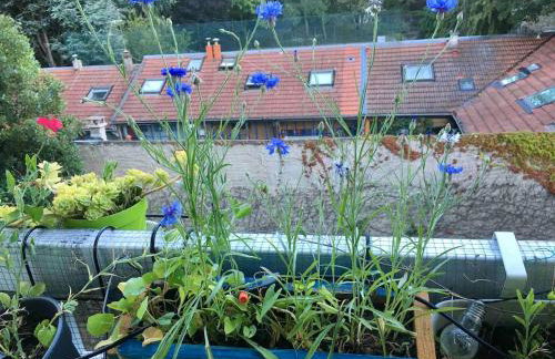 Beau 4 pièces dans coin de verdure - Foto 19