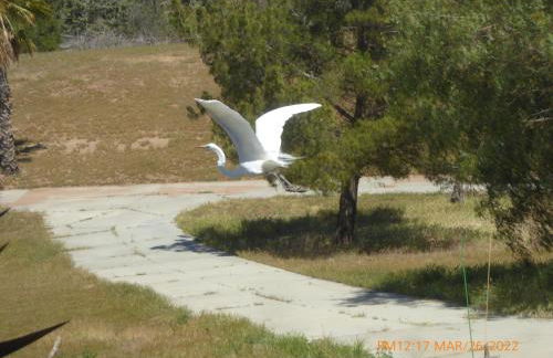 Mansion on the Hill let 4 Rooms, 5th cost extra - Foto 67