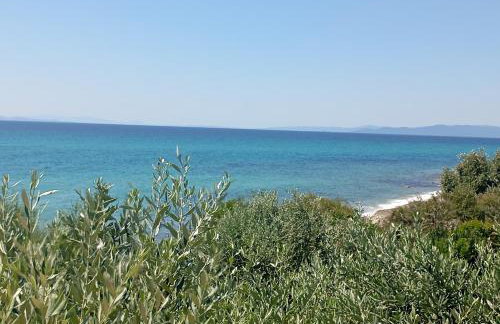 Δίπλα στο κύμα -Βeside the wave - Photo 9