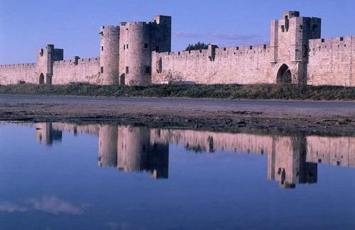 Rêves d'Ô en Camargue, clim réversible, parc naturel - Photo 24