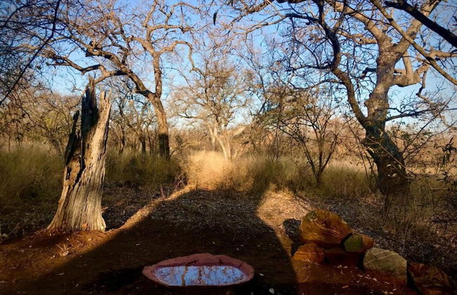 Holiday Home in Hoedspruit With Private Pool - Photo 43