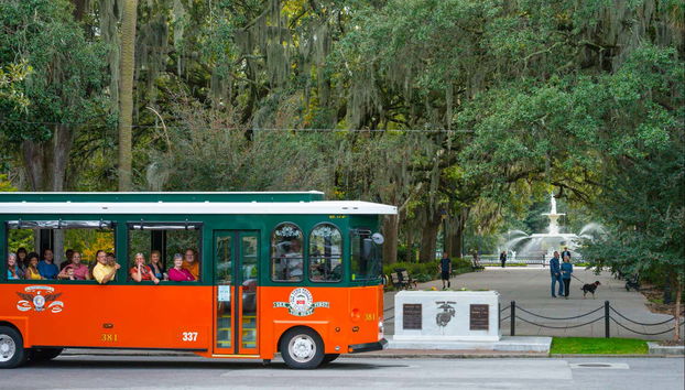 Disfrutando del recorrido en trolebús