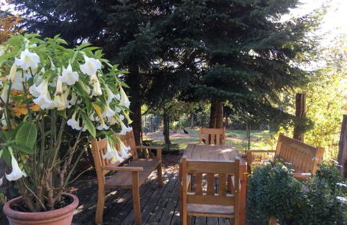 Ferienwohnung Fachwerk-Home - Foto 23