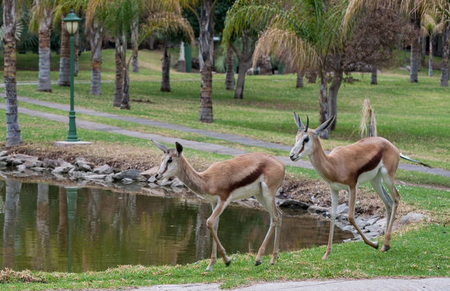 De Werf Lodge - Photo 28