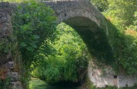 La Montaurousienne - Maison néo-provençale dans le Pays de Fayence - Foto 19