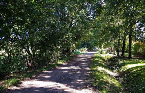 Lieblingsplatz - Foto 23