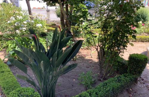 Casa das Camélias - Foto 31