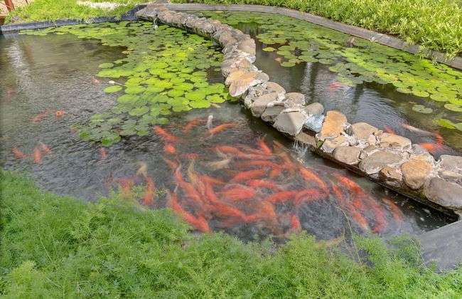 Magnificent Eight Bedroom Holiday Home - Photo 6