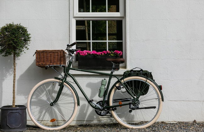 The Forest at Mount Congreve Gardens - Foto 34