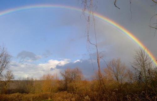 Creekside Escape on 200 acres - Foto 20