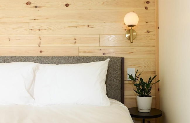 The Rex Hotel - Foto 1