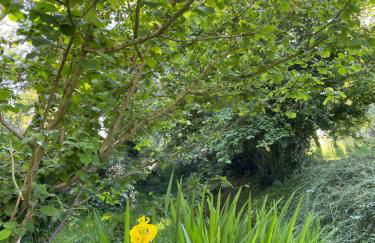 Le Village du Moulin - Foto 19