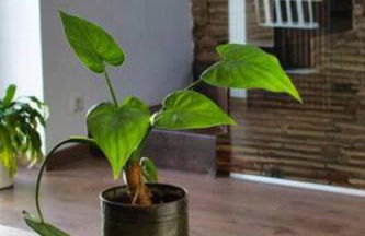 Casa San Vicente Casa comoda y bien ubicada en Denia cerca del mar - Foto 12