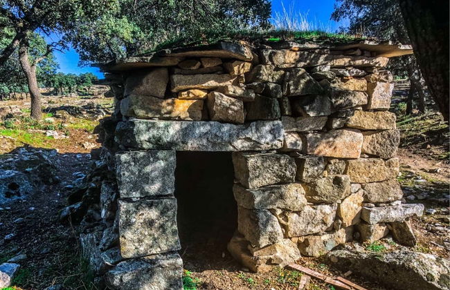 Tour in Alpedrete - Foto 6