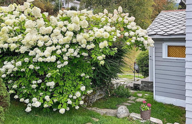 6 Person Holiday Home in Utvik - Foto 30