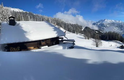 Le petit érable - Vue Mont Blanc - Foto 27